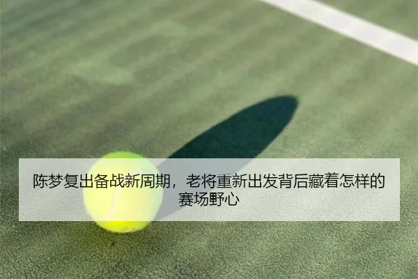 陈梦复出备战新周期，老将重新出发背后藏着怎样的赛场野心